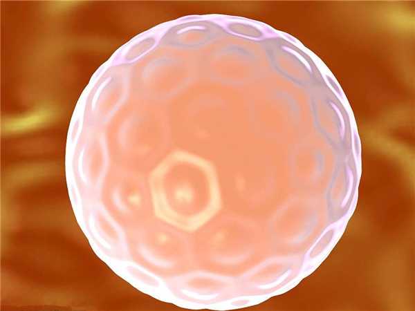 一级优质胚胎冷冻之后再养囊成功率高吗？