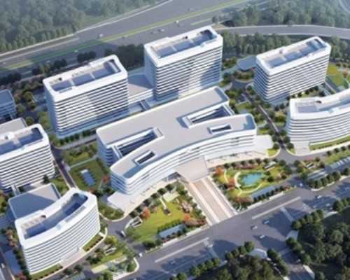 北京高龄女性借卵试管解析：费用、流程及成功率