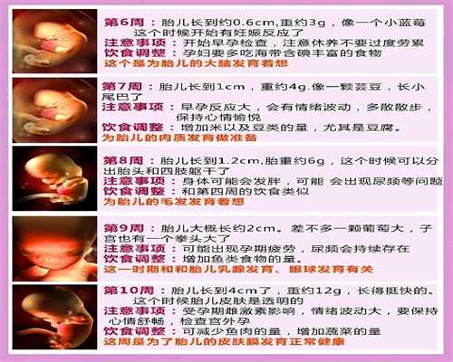 中国哪里可以做代孕_孕早期头晕恶心正常吗