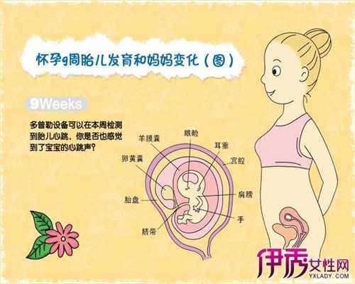 代孕一个须多少钱_孕妇有高血糖可以吃瓜子吗