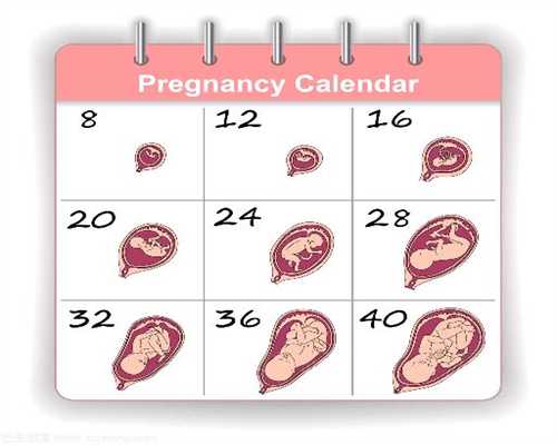 代孕需要多长时间_【宝妈每日十条·第8期】孕期的这些习惯会遗传给孩子，一