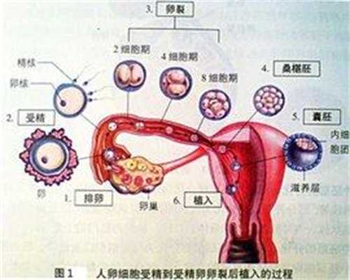 代怀孕出生证明_女人月子里该怎样治月子病