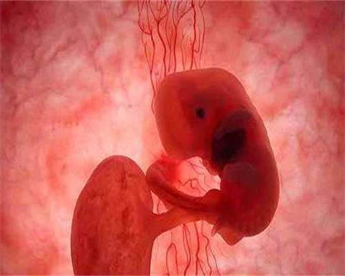 代孕和试管婴儿有差别吗_女孩堕胎对身体有害吗