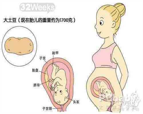 代孕群_怀孕一个月吃什么比较好