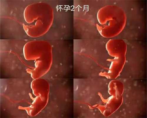 台湾供卵试管婴儿步骤（台湾供卵需要四等亲）